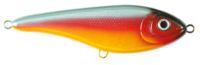 Parrot