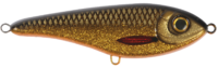 Golden Roach