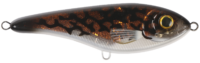 Burbot