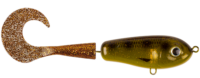 Spotted Bullhead