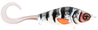 Silver Koi