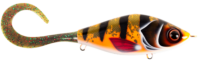 Koi Special