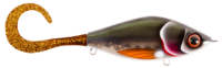 Kemijokki