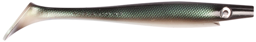 Baltic Herring
