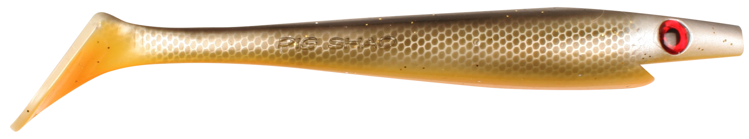 Shitty Roach