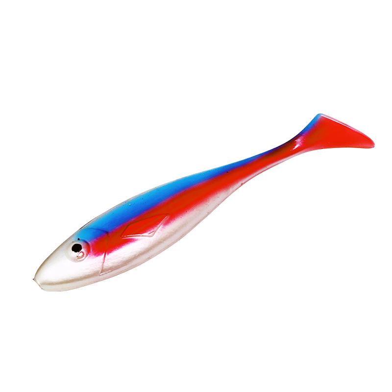 Neon Tetra