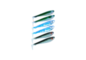 Baitfish