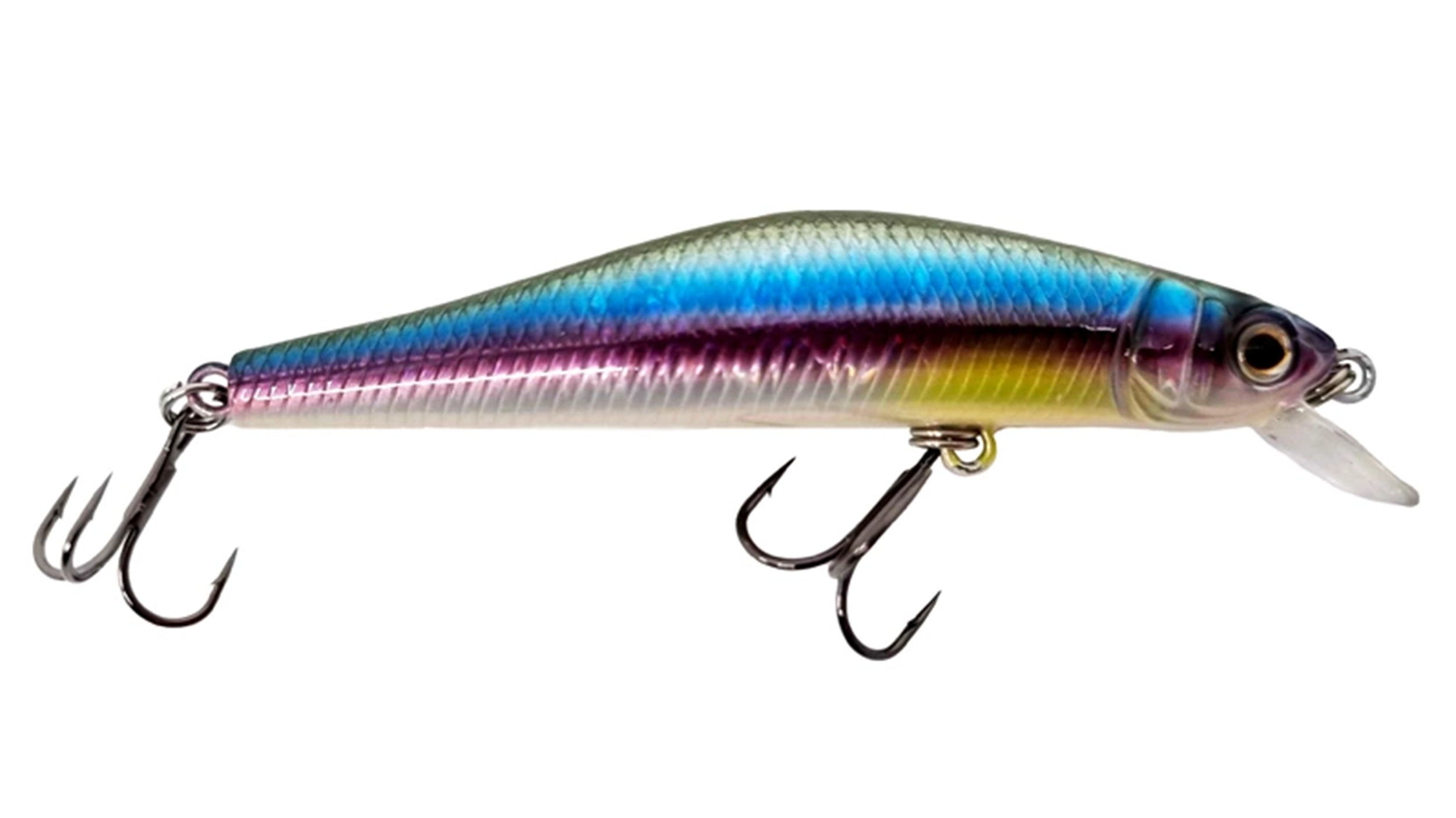 Rainbow Shad