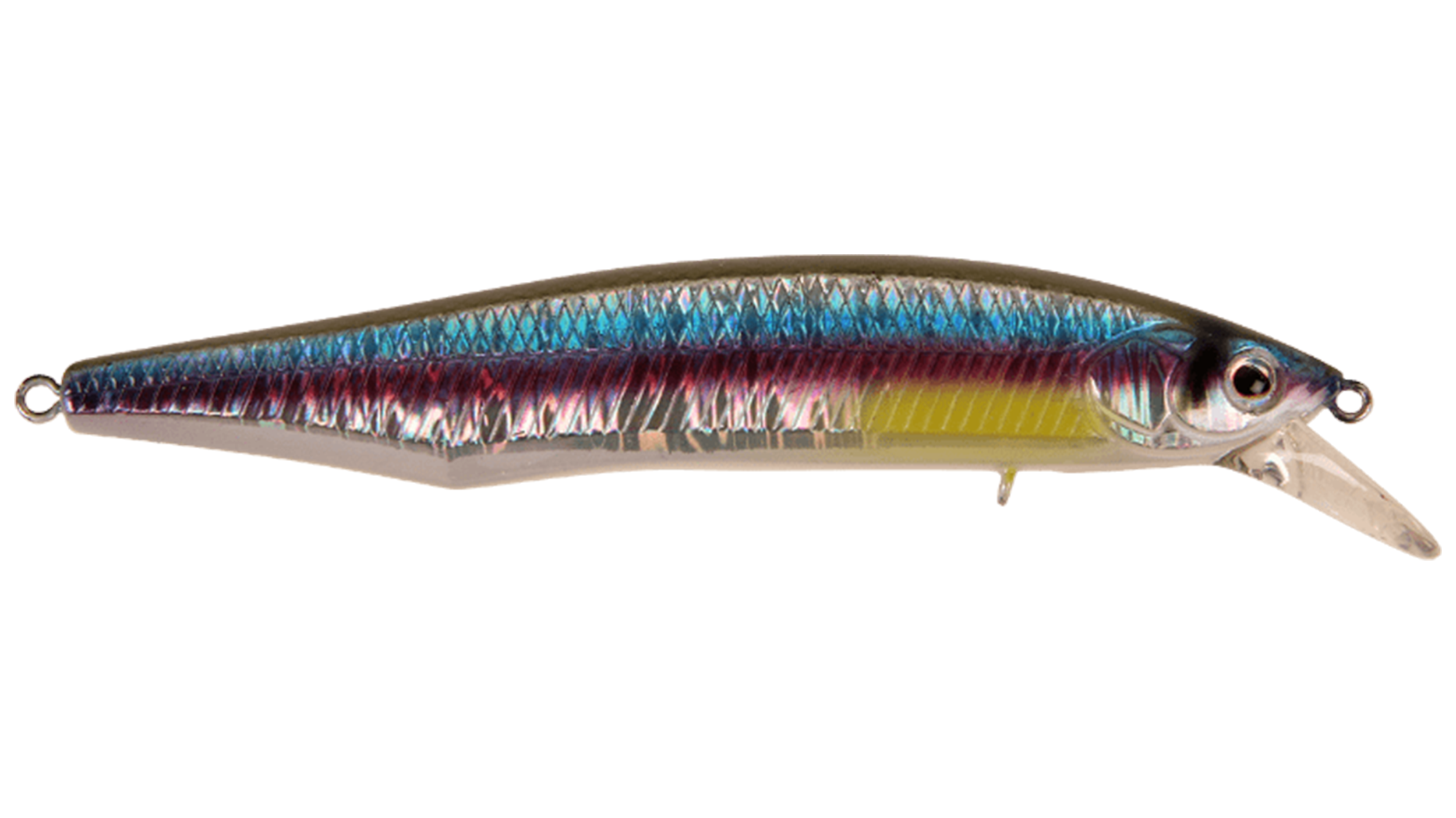 Rainbow Shad