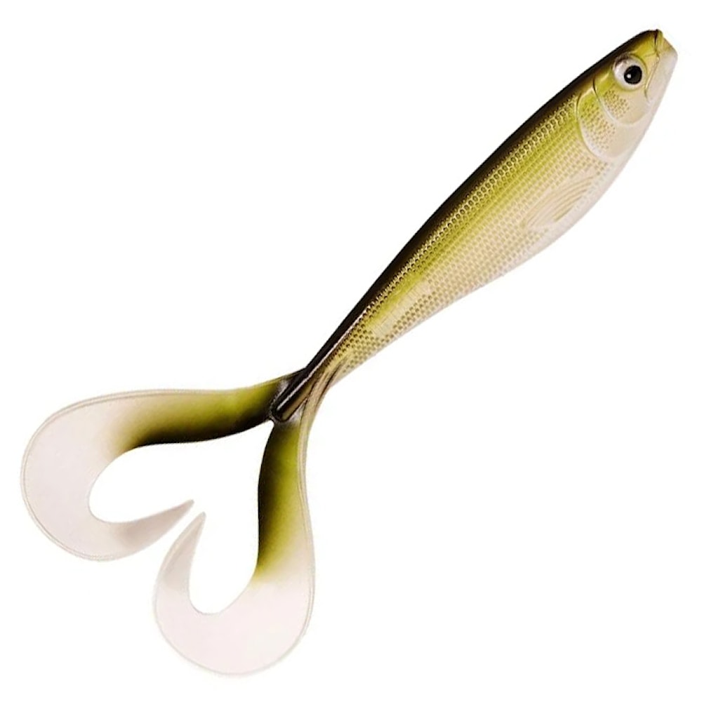 Minnow