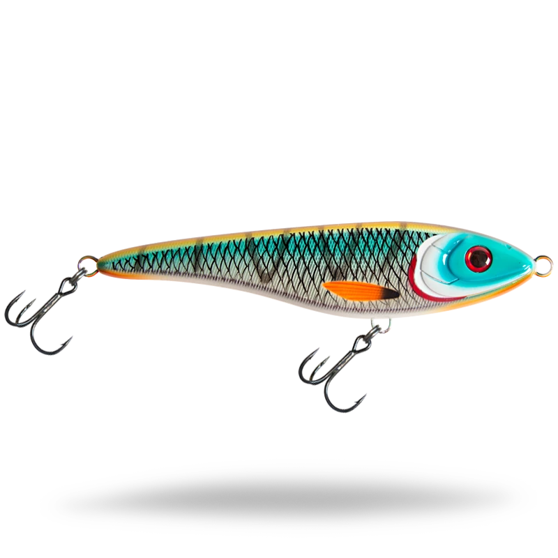 Tiger Cichlid
