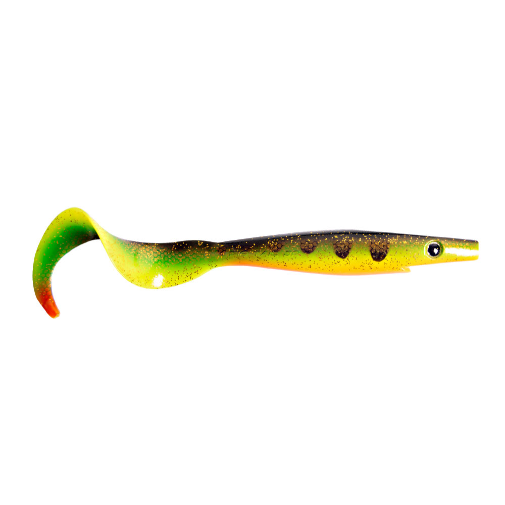 Orange Belly Perch