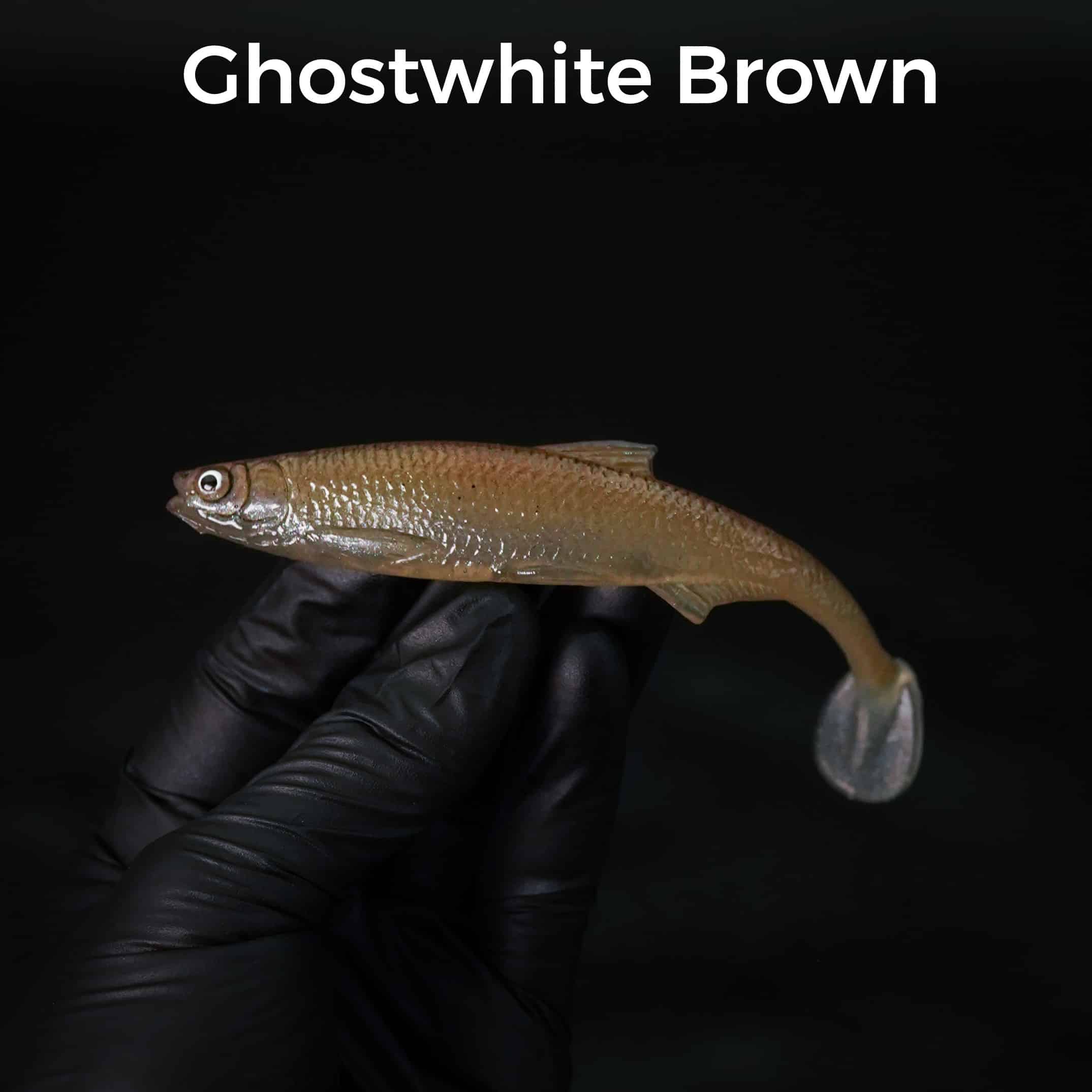 Ghostwhite Brown