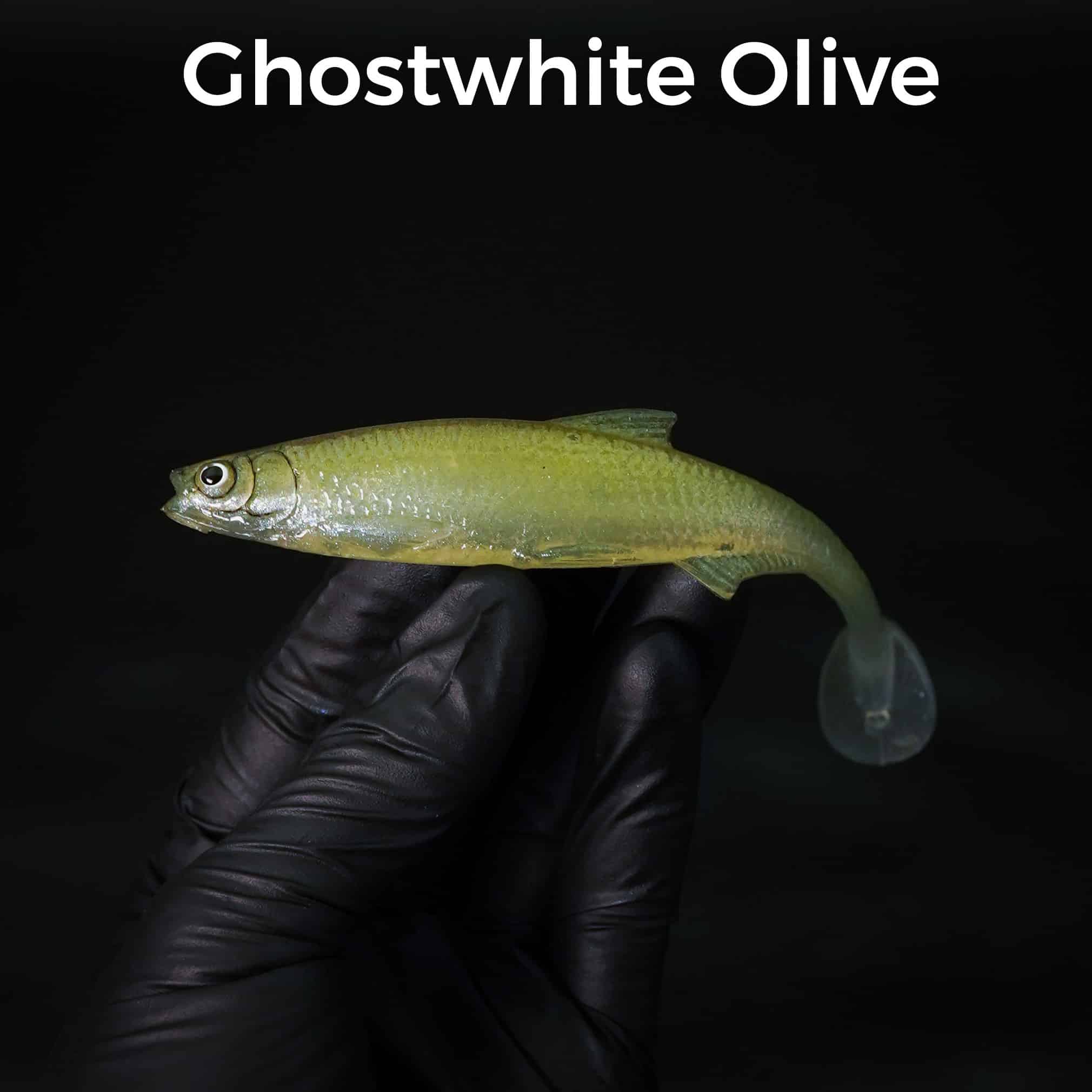 Ghostwhite Olive
