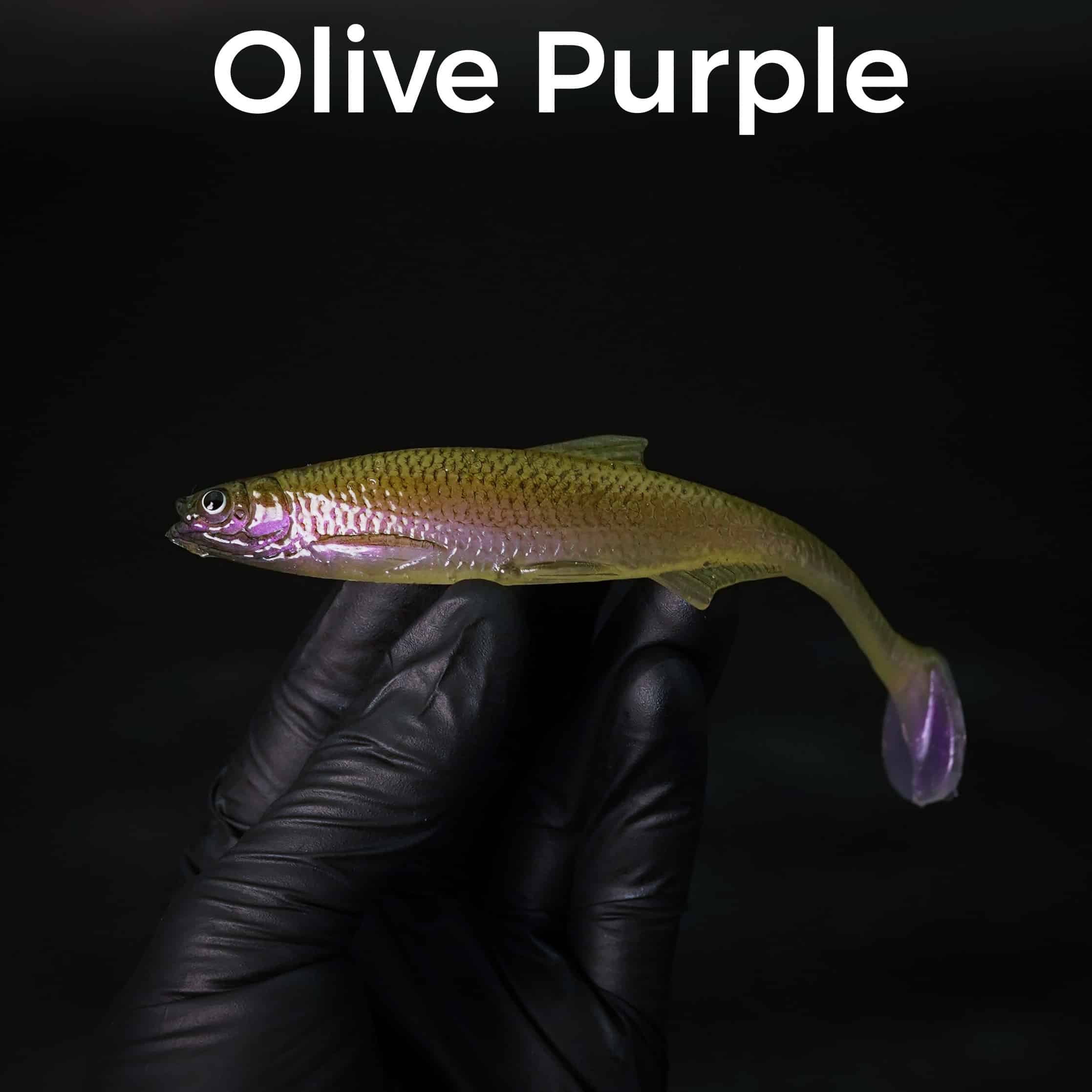 Olive Purple