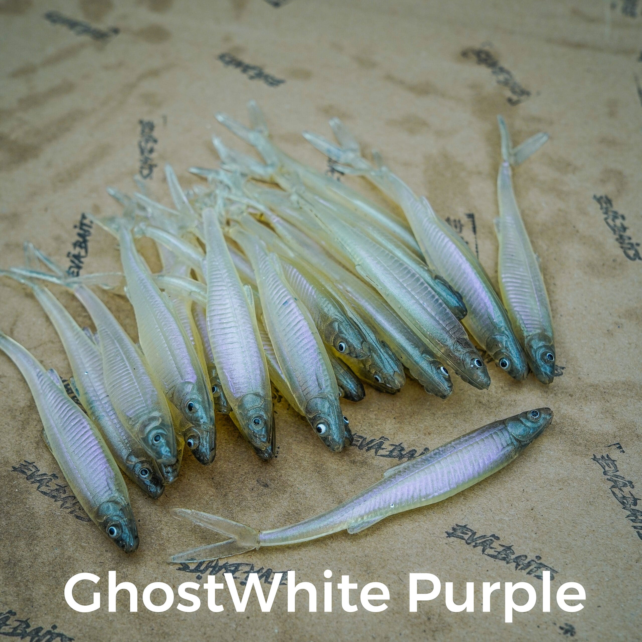 Ghostwhite Purple
