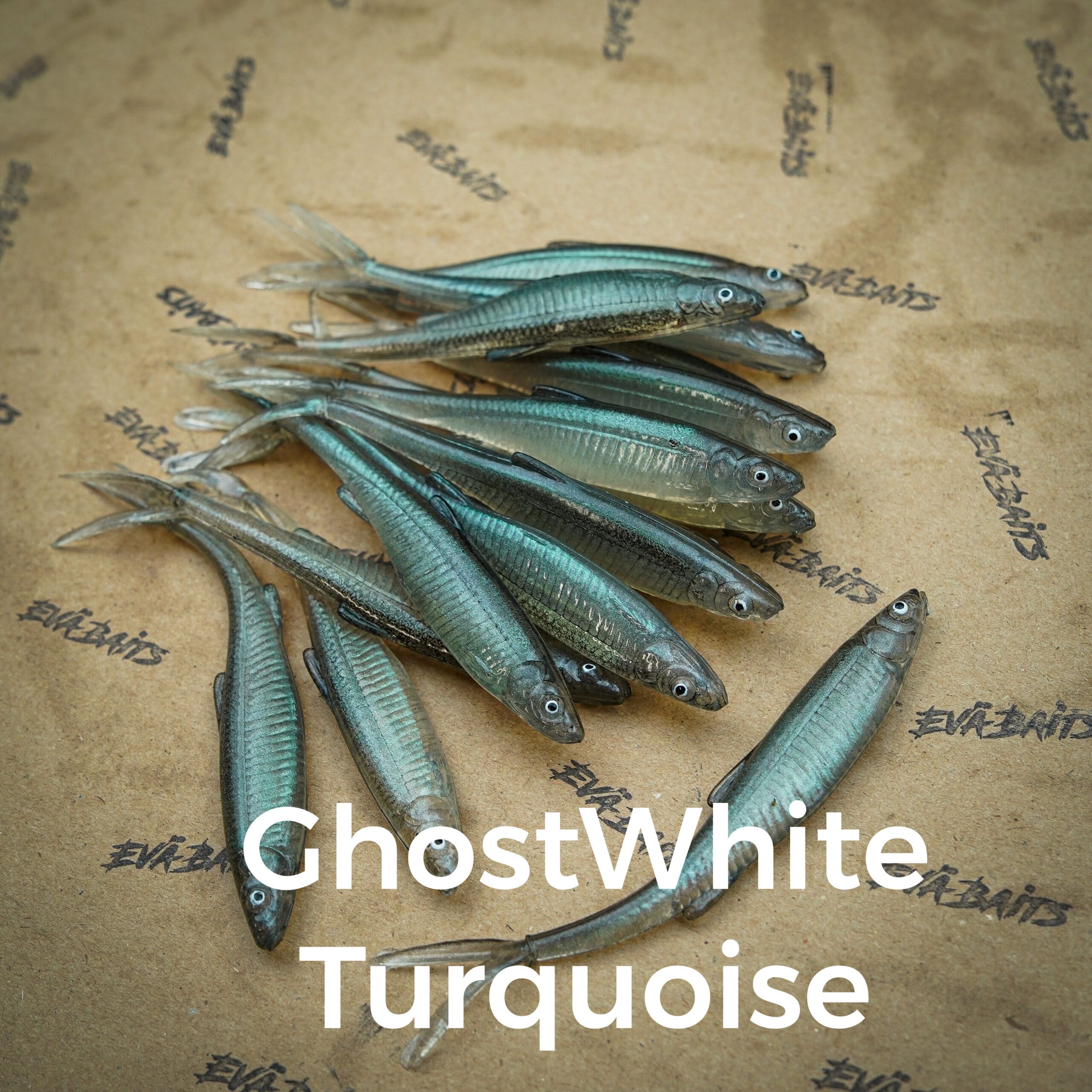 Ghostwhite Turqouise
