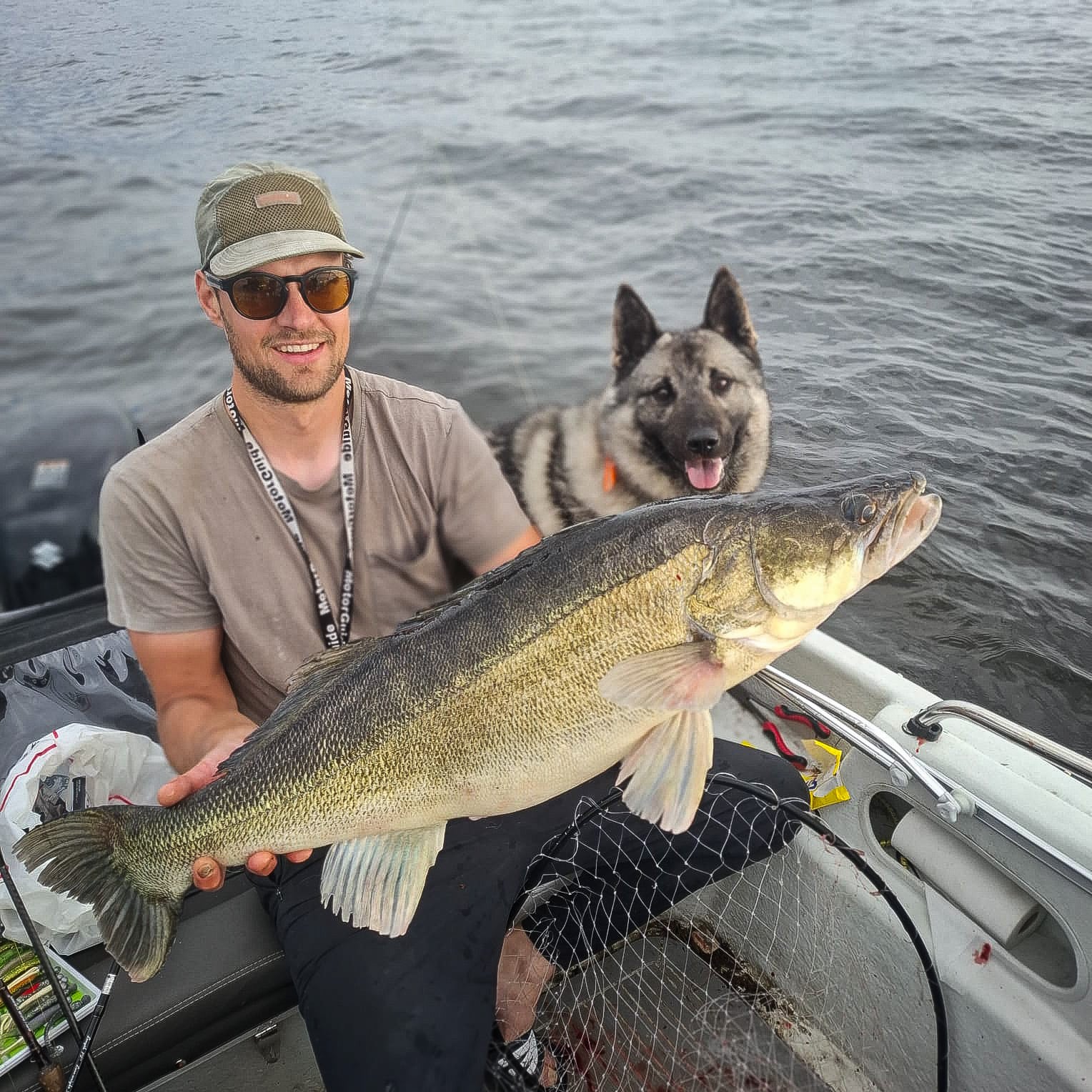 Evä Baits Smelt V-Tail 17cm - Image 2