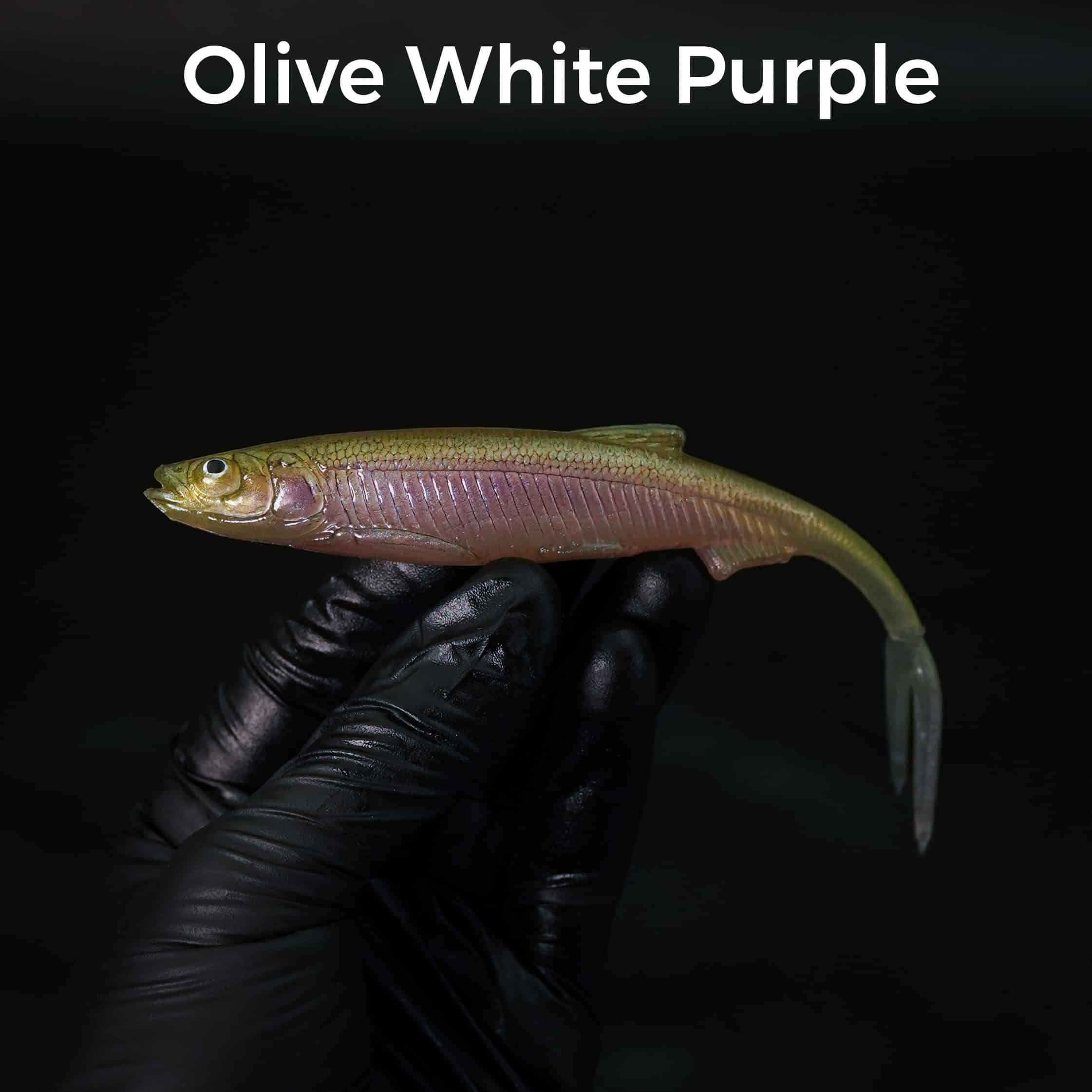 Olive White Purple
