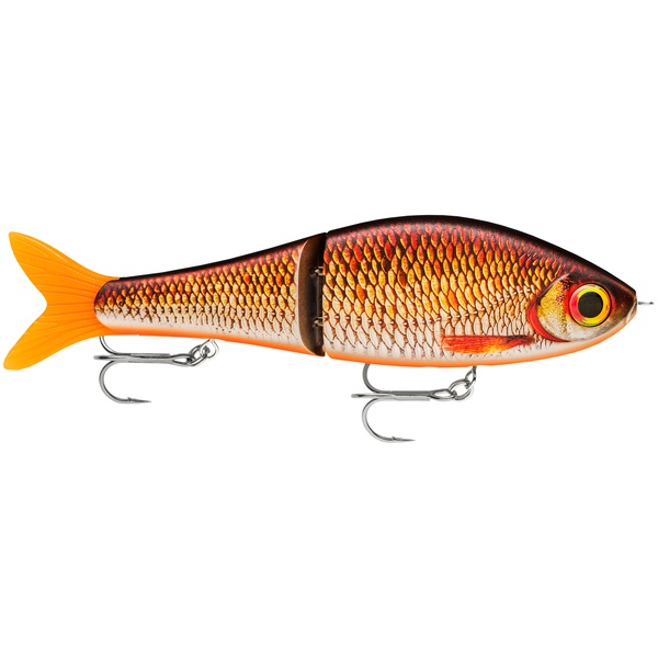 Live Redfin Shiner