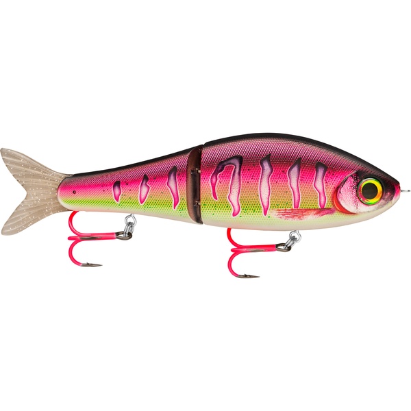Pink Perch