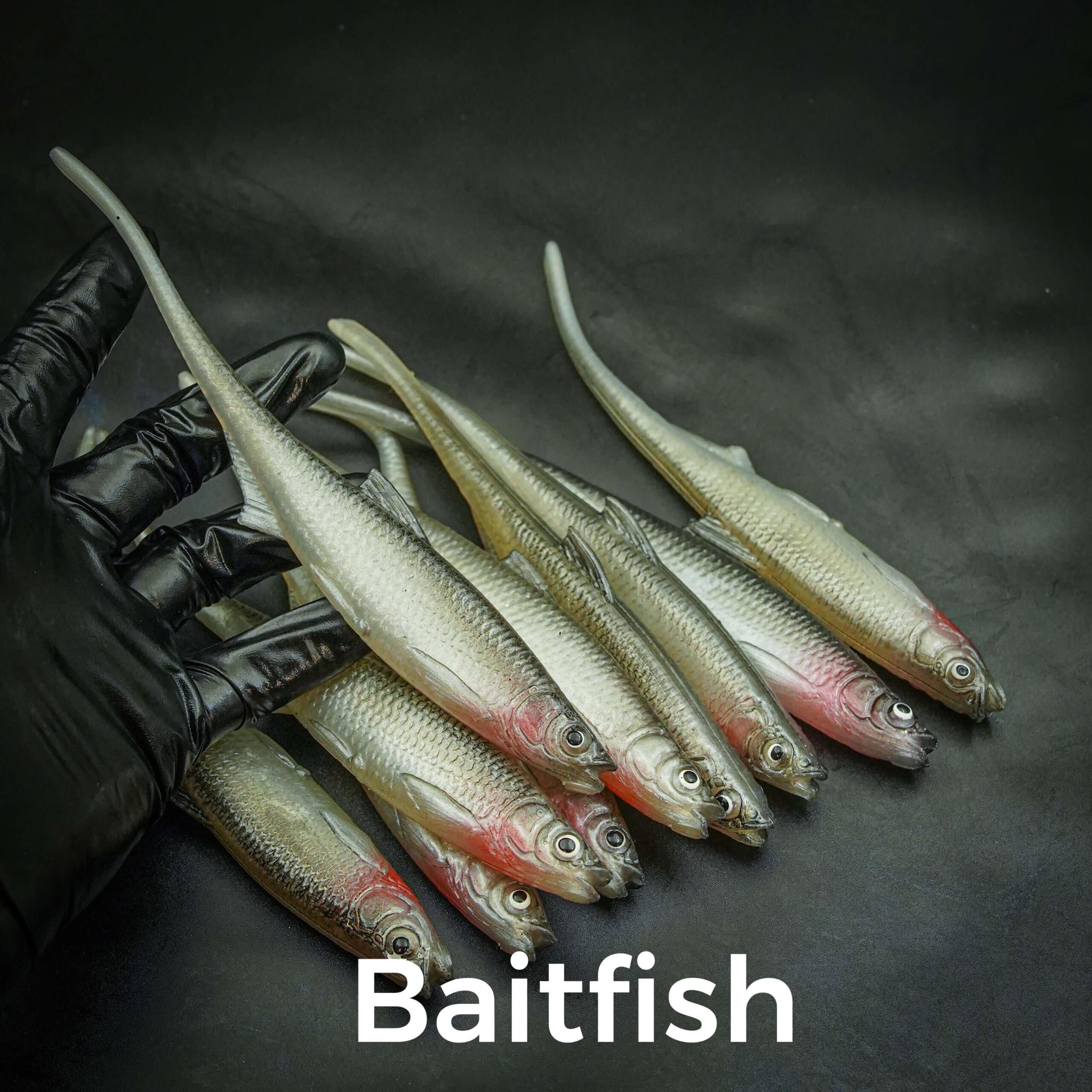 Baitfish