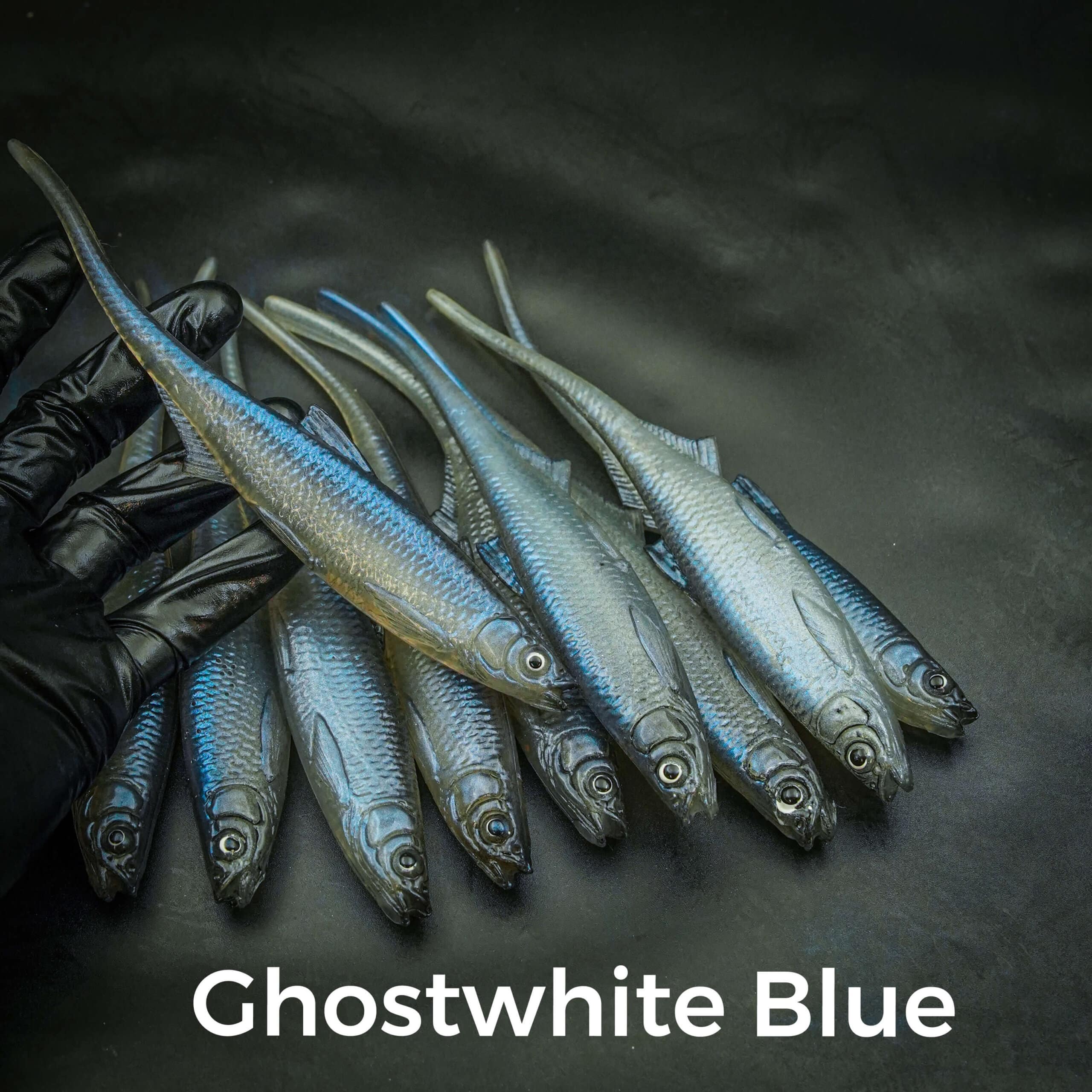 Ghostwhite Blue