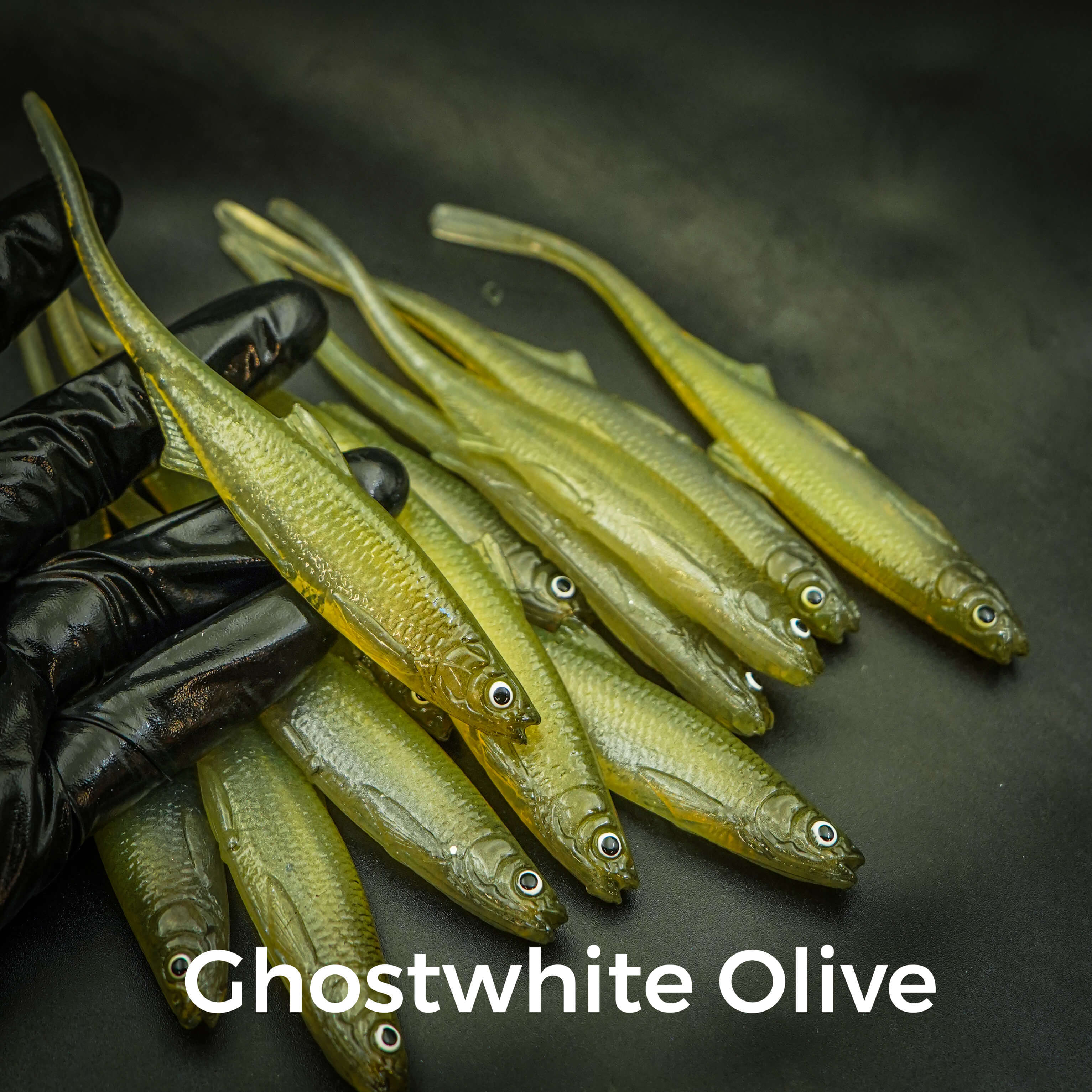 Ghostwhite Olive