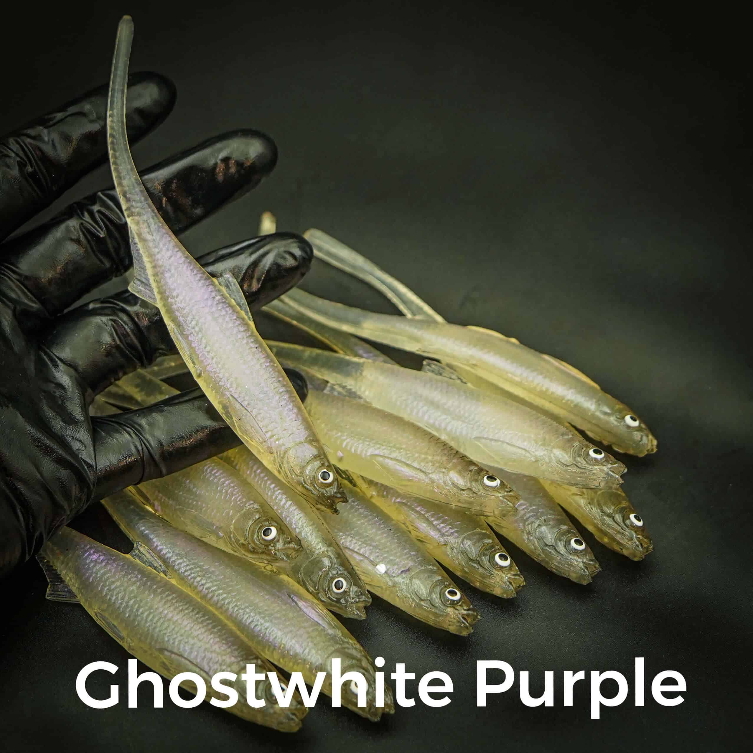 Ghostwhite Purple